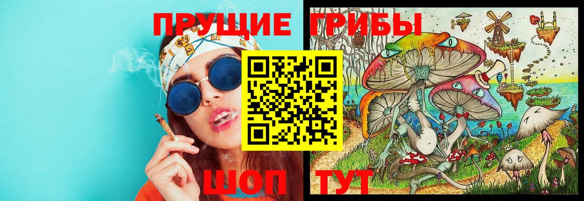 Псилоцибиновые грибы Psilocybe  Вход с VPN  купить  цена  Саранск 